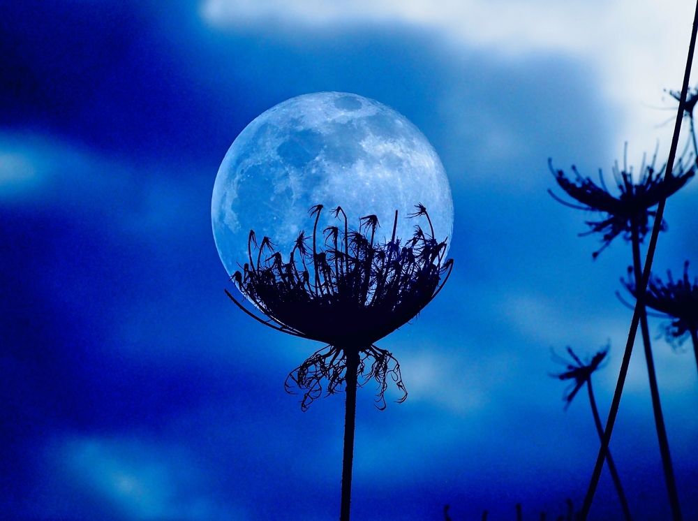 Photograph by Gotcha Biniashvili