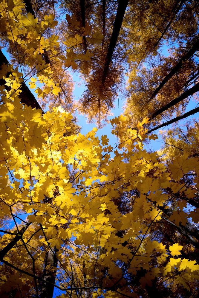 Photograph by Сон Ен Дё