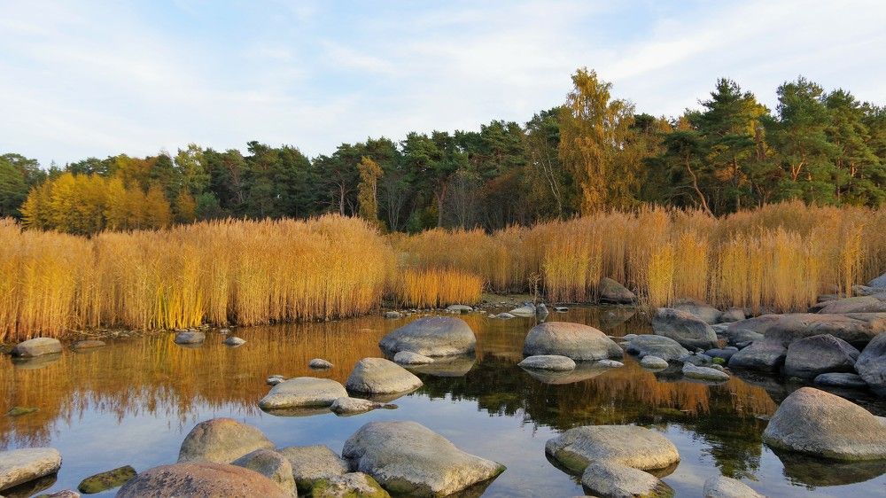 Photograph by Andrei Baburin