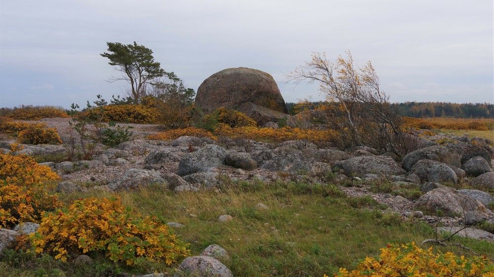 Photograph by Andrei Baburin