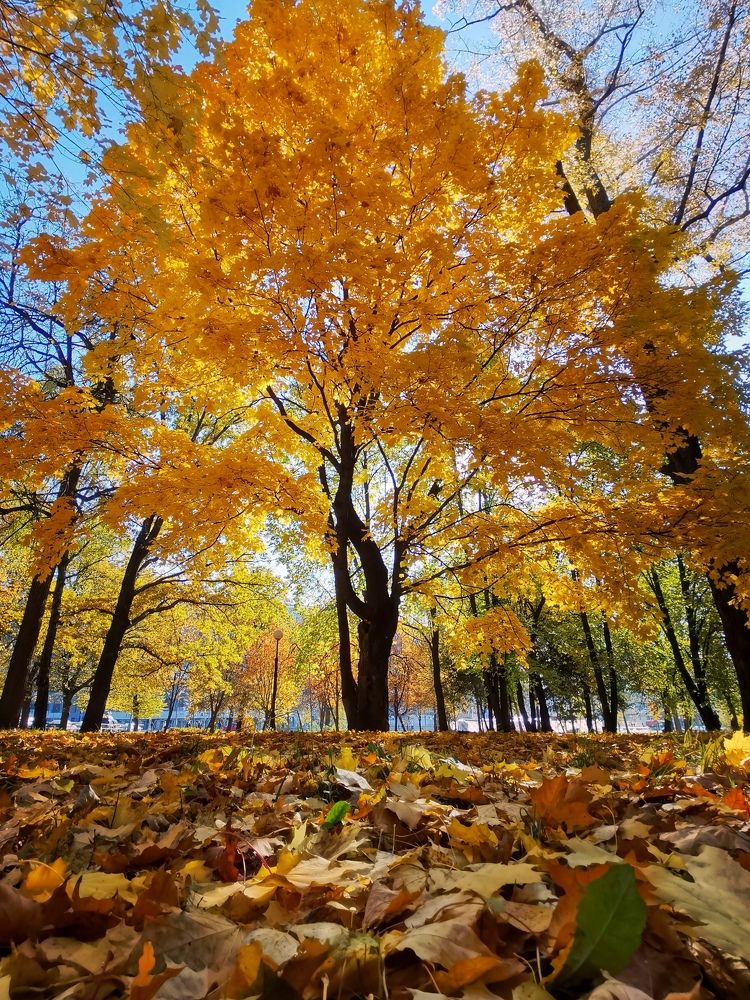 Photograph by Сергей Коробейников