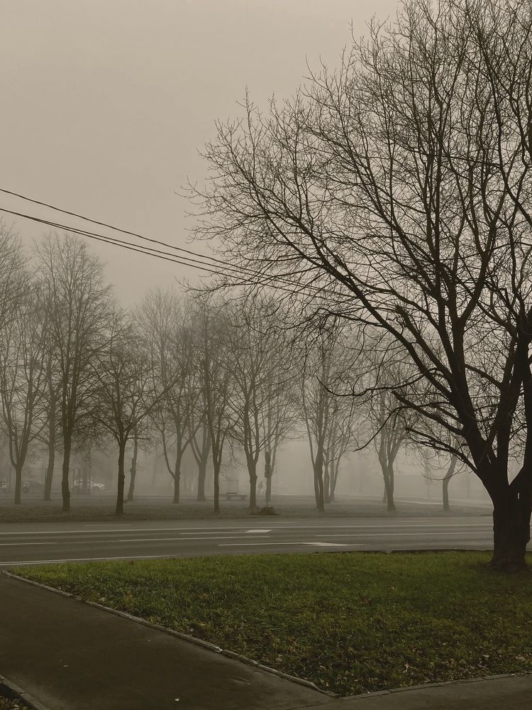 Photograph by Марина Михайлова