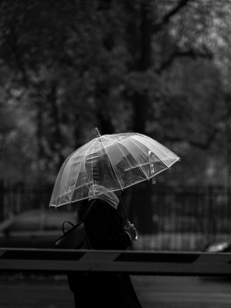 Photograph by Степан Бочаров