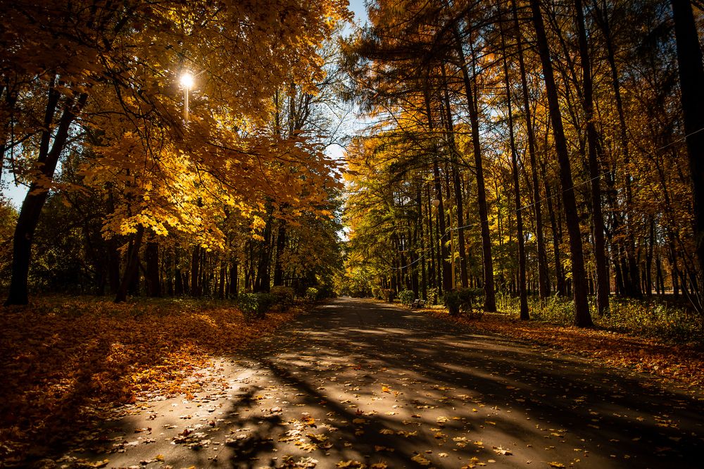 Photograph by Екатерина Часова