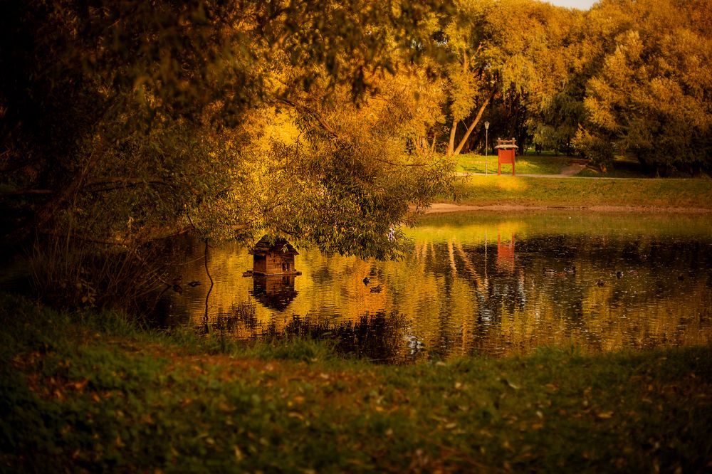 Photograph by Екатерина Часова