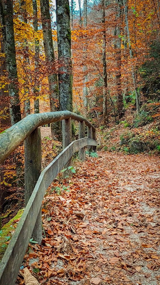 Photograph by Анастасия Ди Филиппо