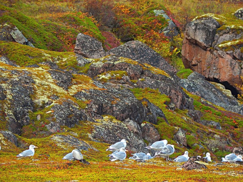 Photograph by Анастасия