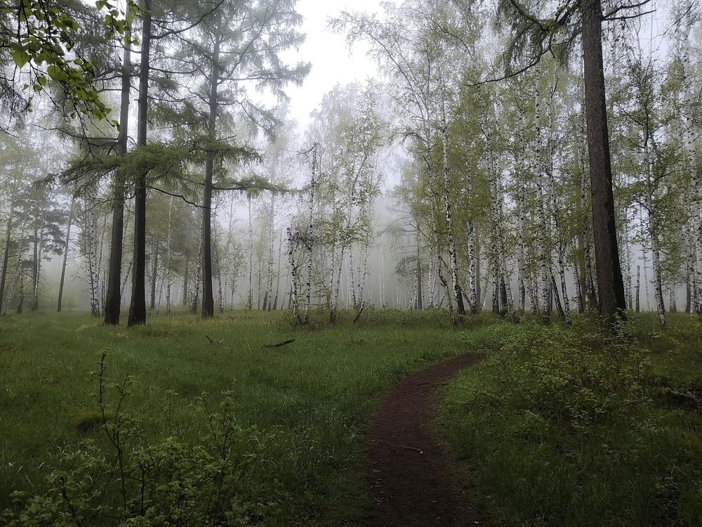 Photograph by Евгений Шульга