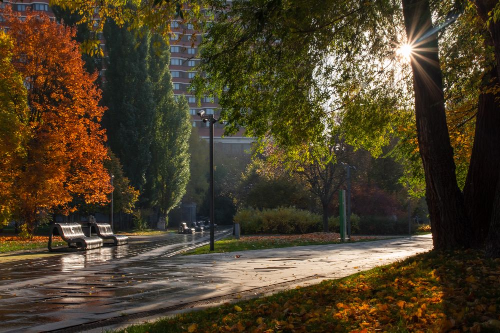 Photograph by Александра Марчак