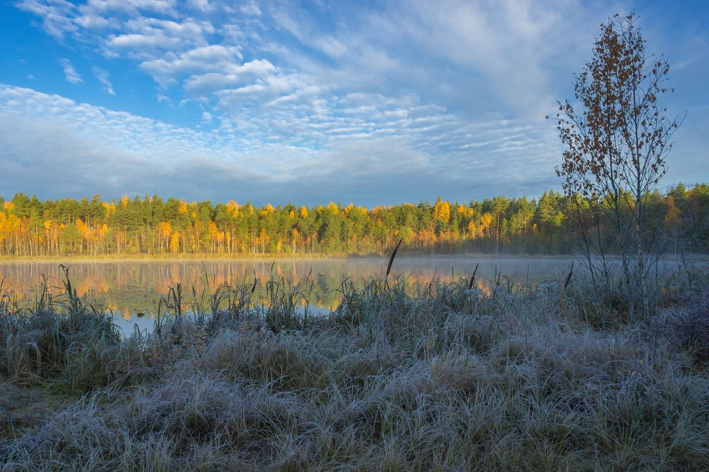 Photograph by Igor Andreev