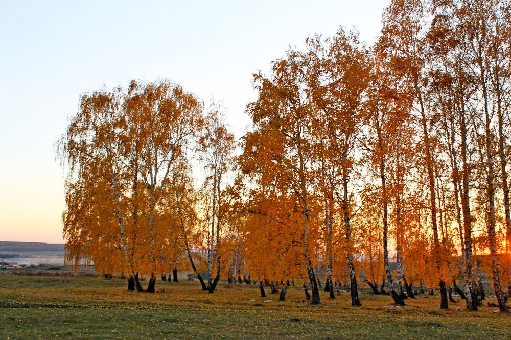 Photograph by Татьяна Перегудова