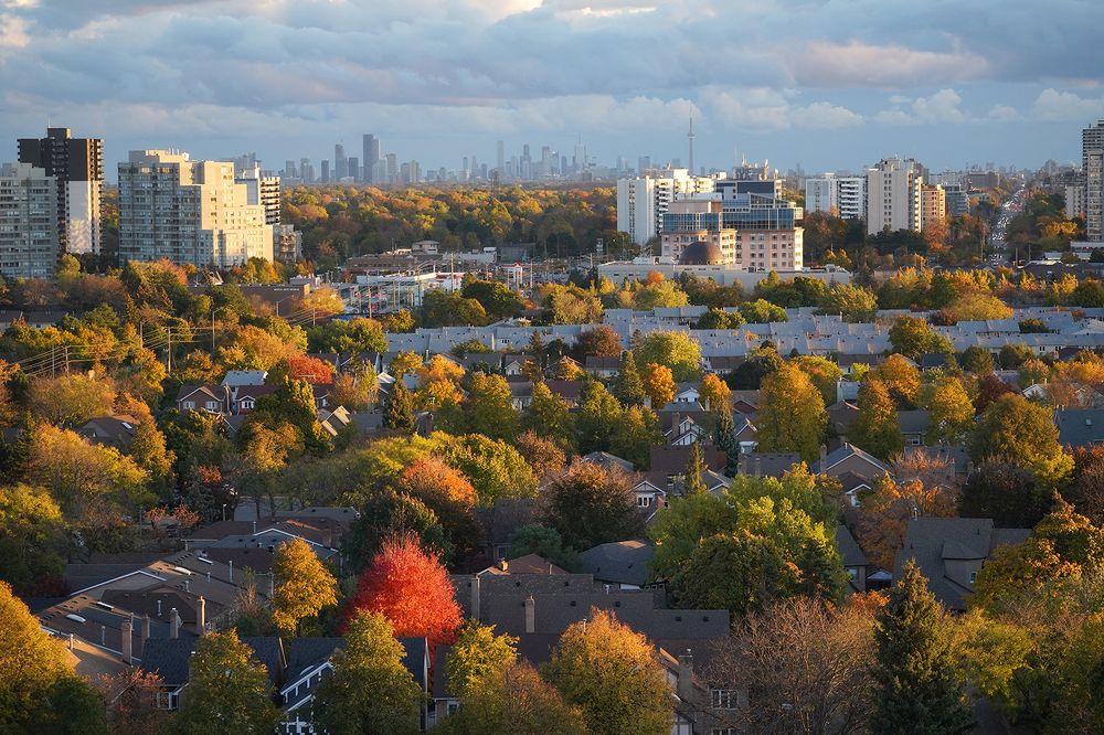 Photograph by Liliana Grup