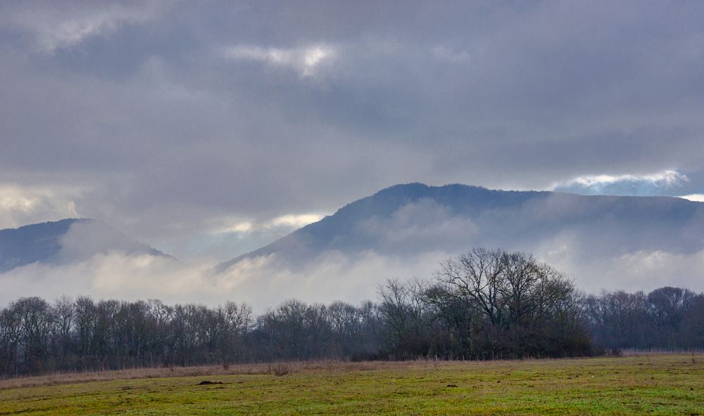 Photograph by  AlexSa