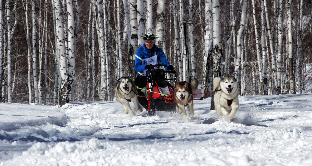 Photograph by Валерий Шорохов