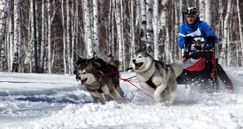 Photograph by Валерий Шорохов