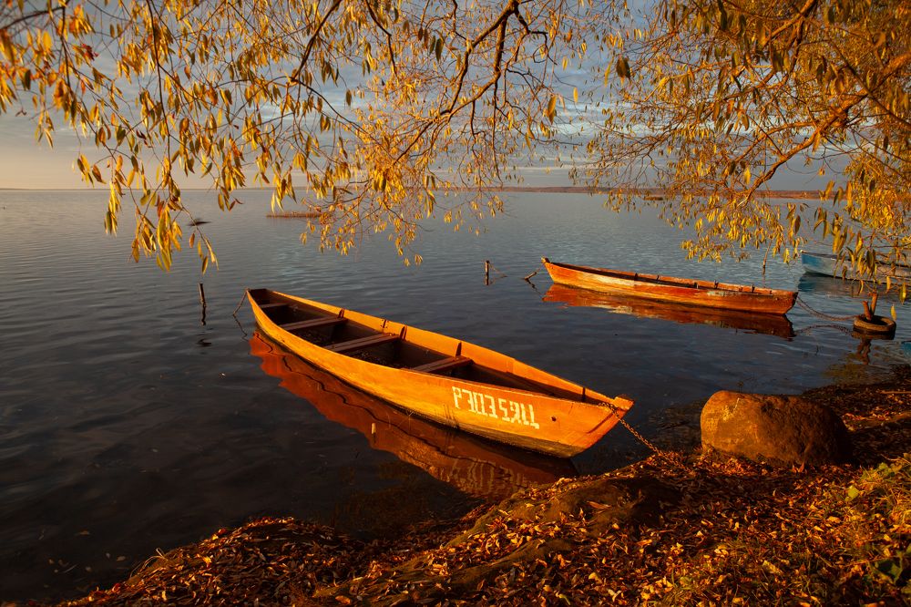 Photograph by Георгий Башкин