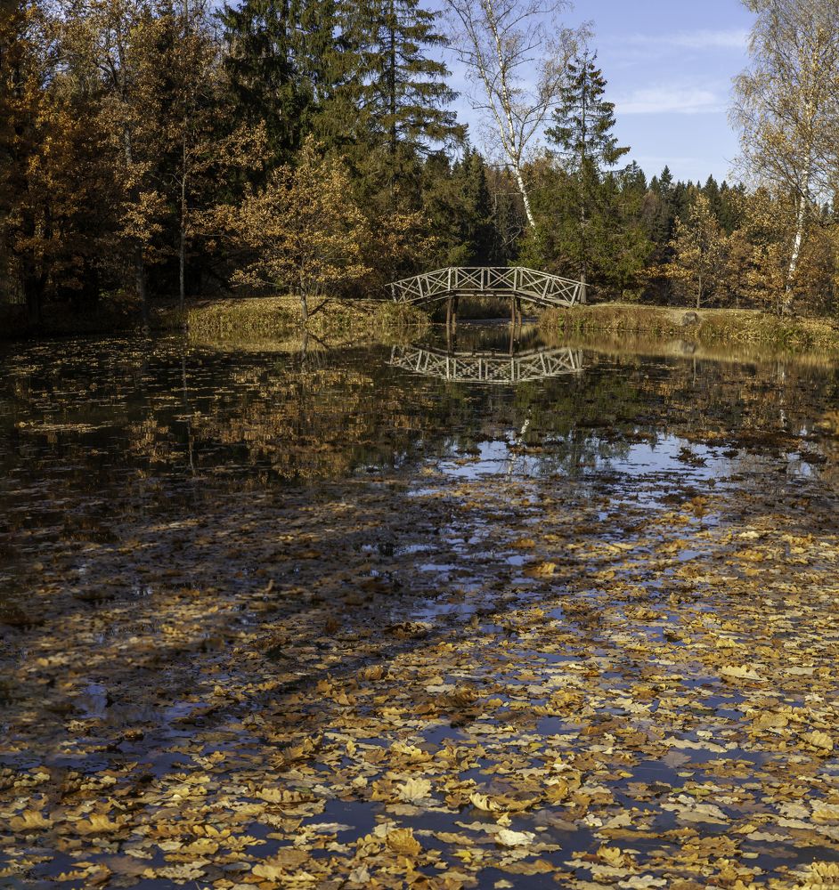 Photograph by Георгий Башкин