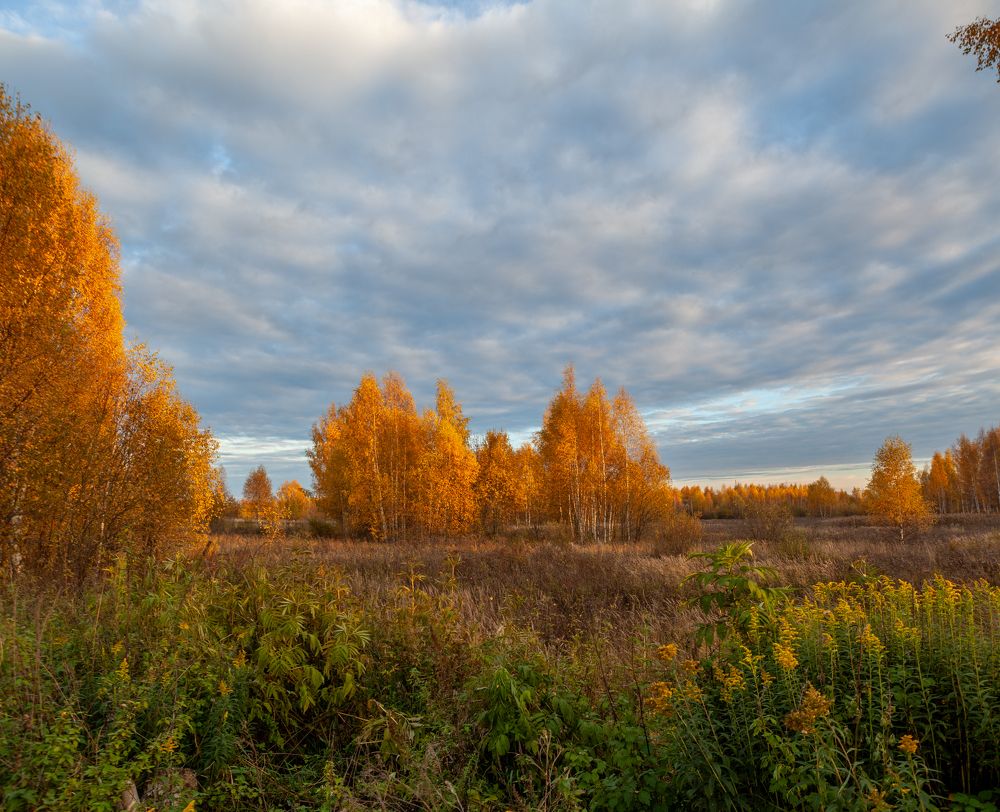 Photograph by Георгий Башкин