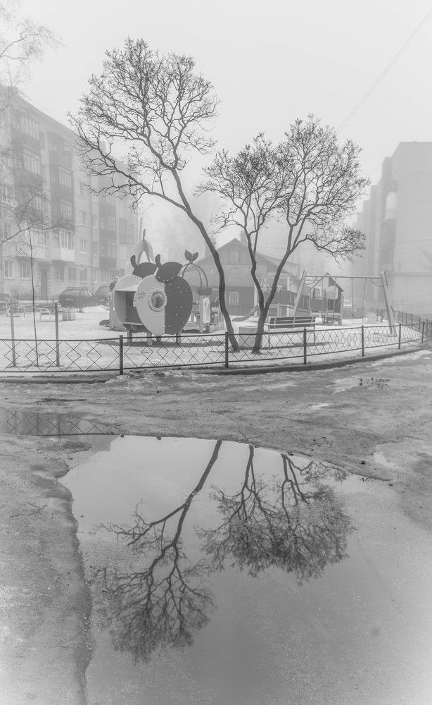 Photograph by Ольга Сафронова