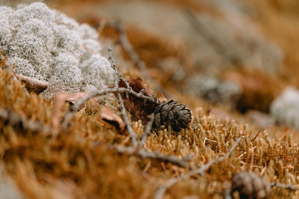 Photograph by Вадим Басов
