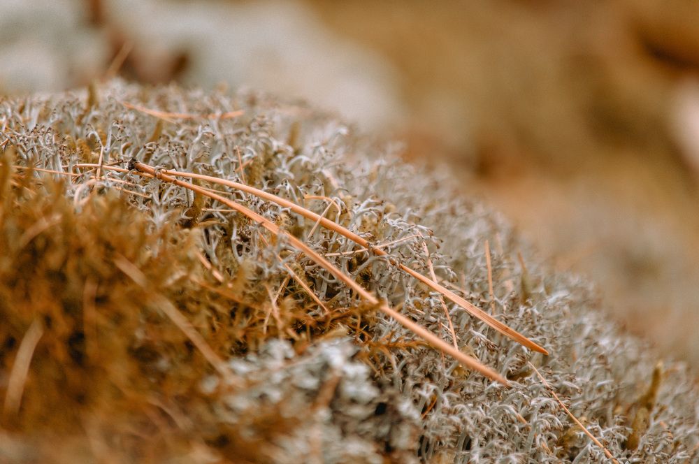 Photograph by Вадим Басов