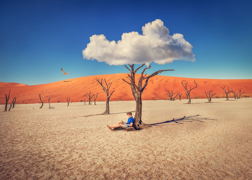 Photograph by talia duclos