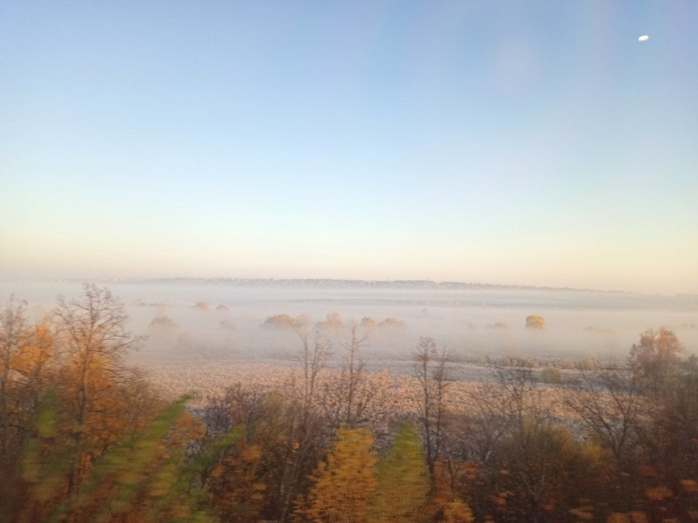 Photograph by Елизавета Мишина