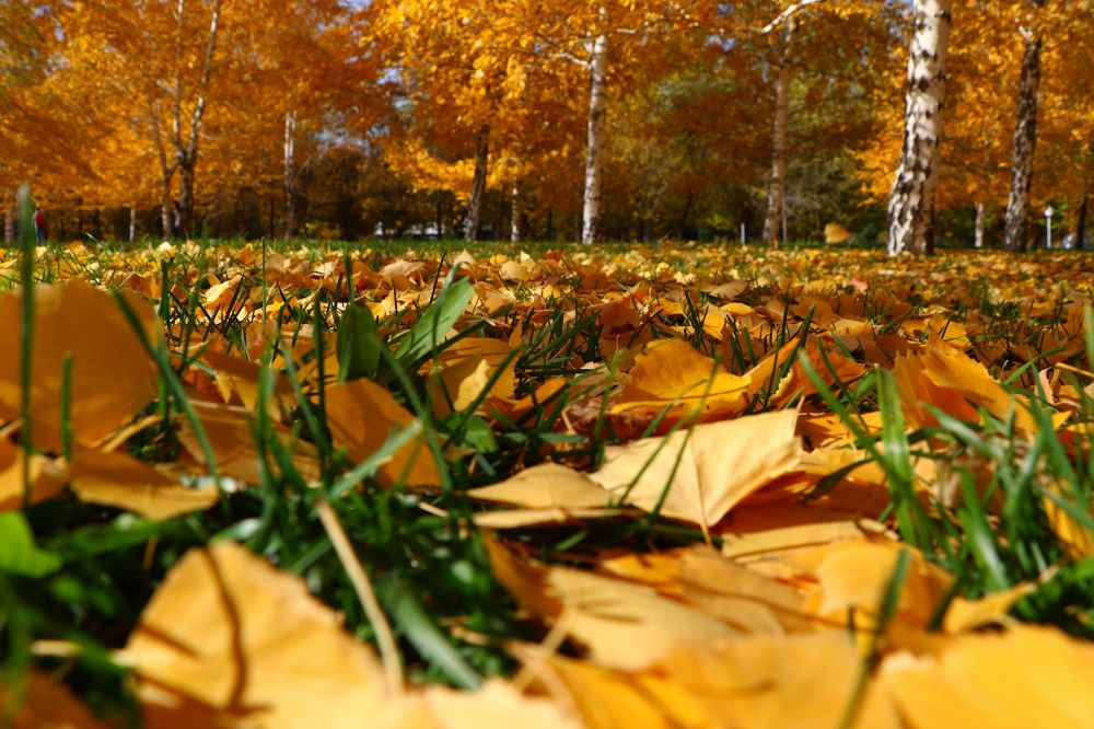 Photograph by Александр Шаварёв