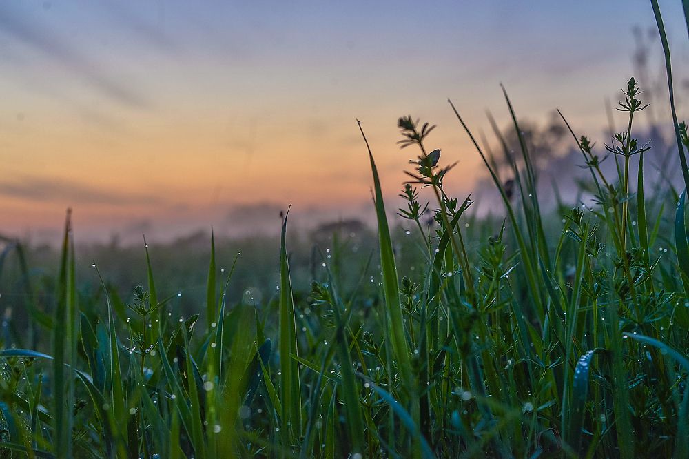 Photograph by Евгения Булавко