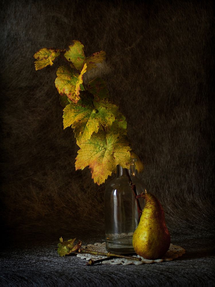 Photograph by Геннадий Петрущенко