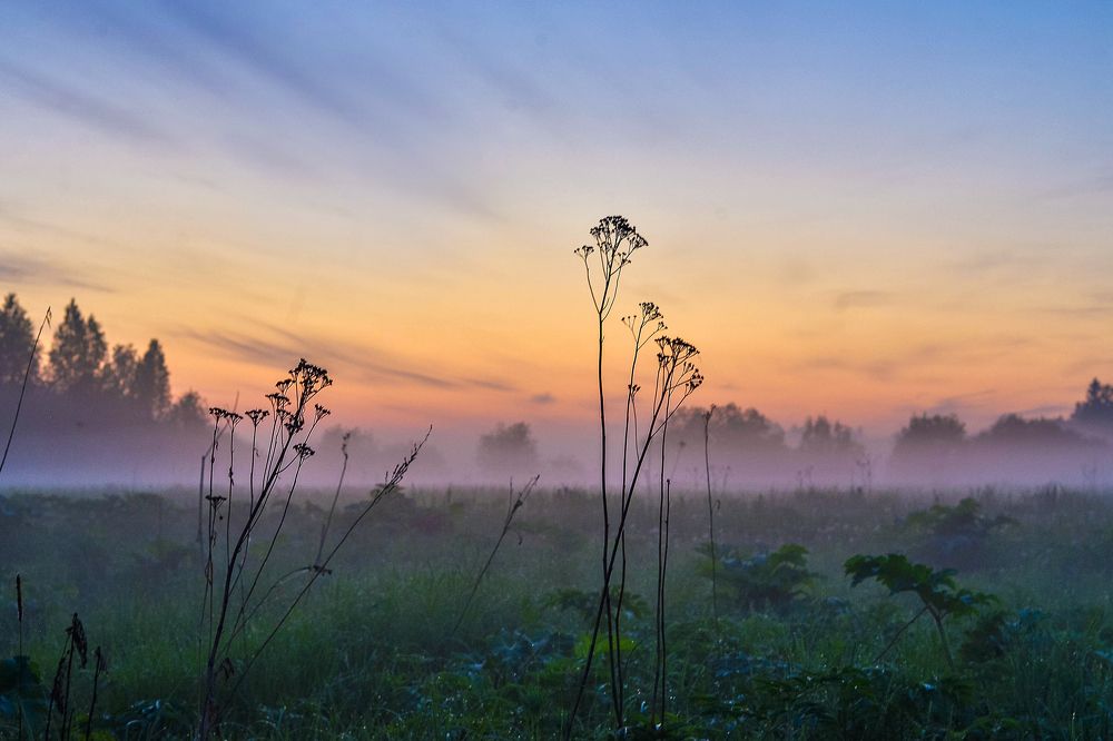 Photograph by Евгения Булавко