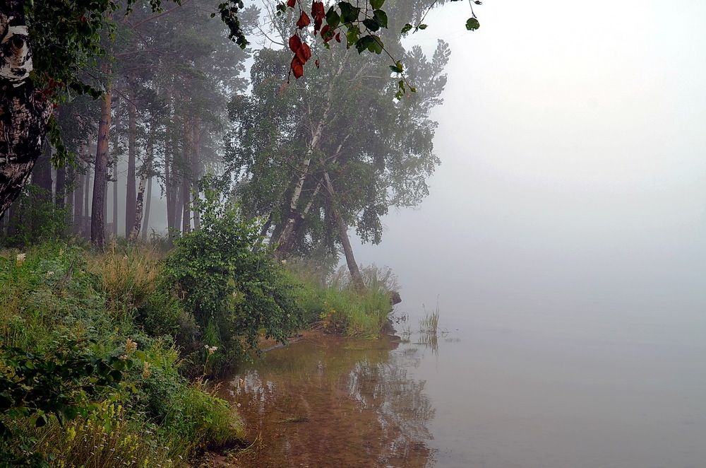 Photograph by Юрий Назыров