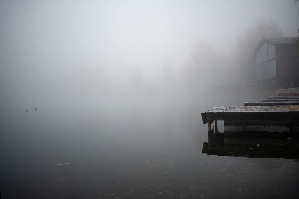 Photograph by Андрей Липовый