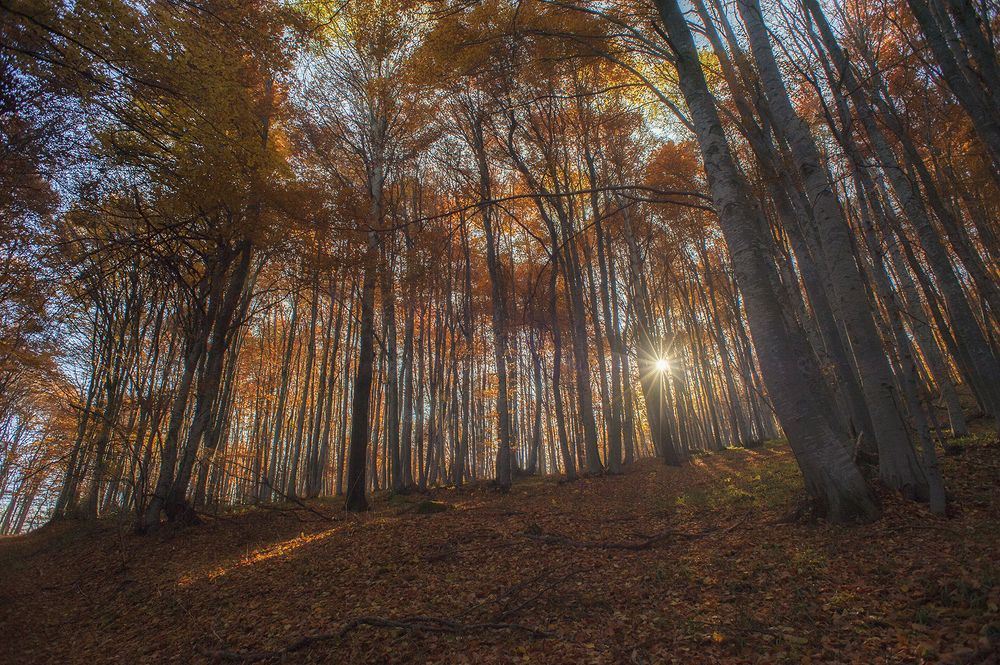 Photograph by Boris Tashkov