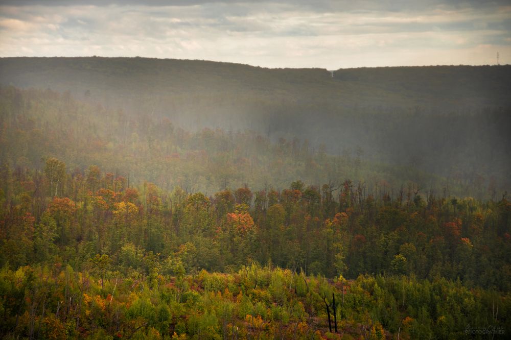 Photograph by Valentina Suvorova