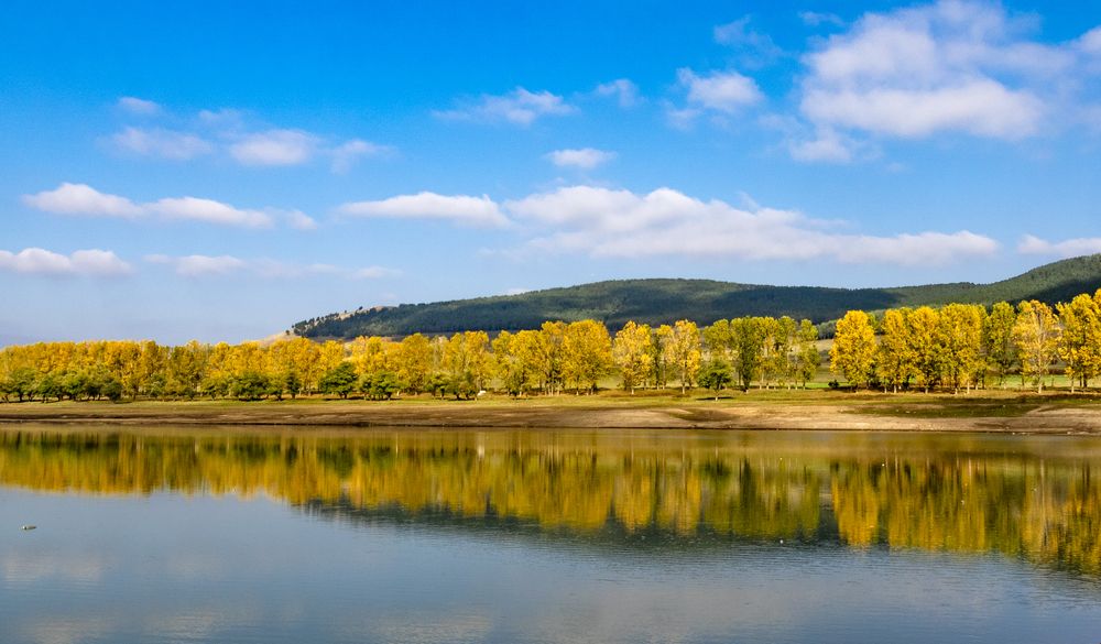 Photograph by Alex Kalpus