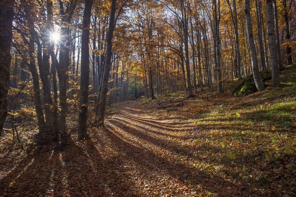 Photograph by Boris Tashkov