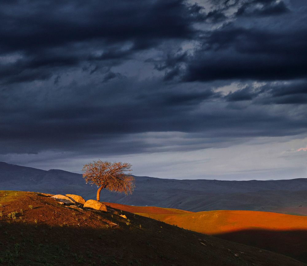 Photograph by Marat Sairanbaev