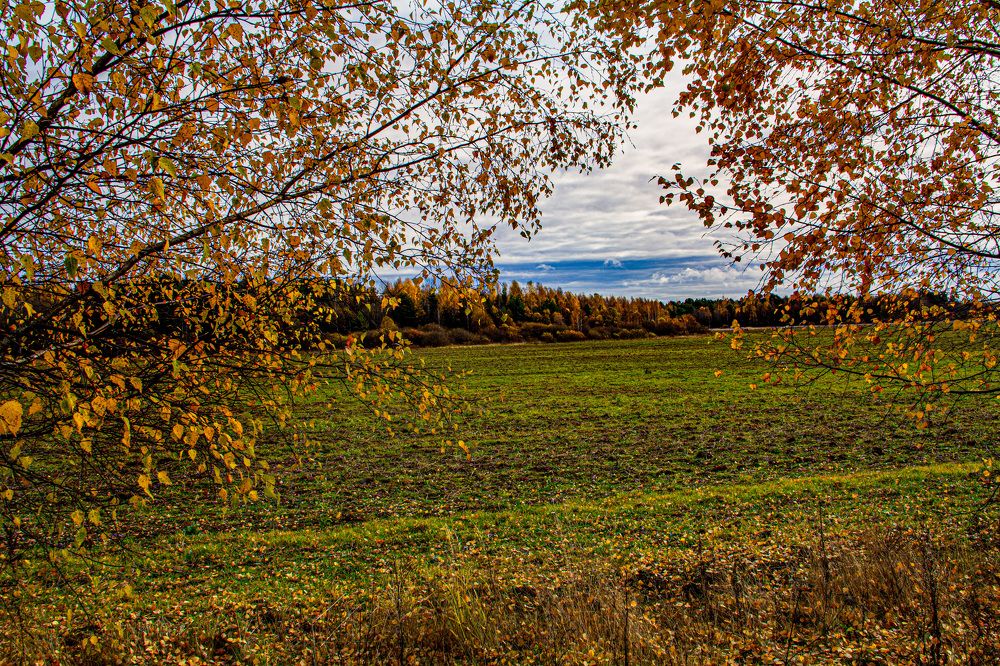 Photograph by Павел Крайников