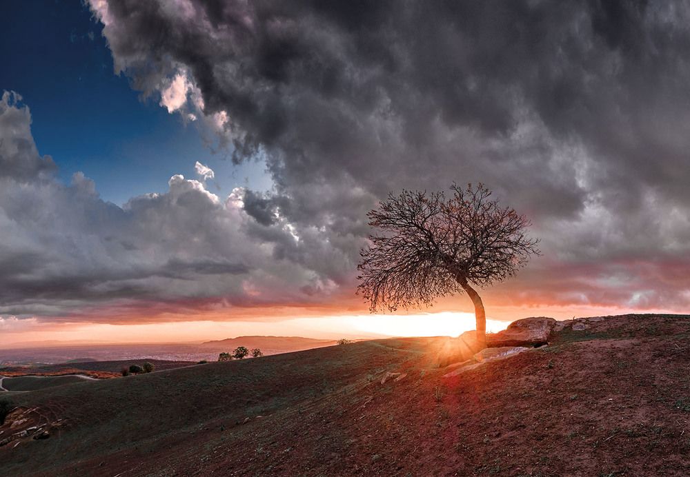 Photograph by Marat Sairanbaev