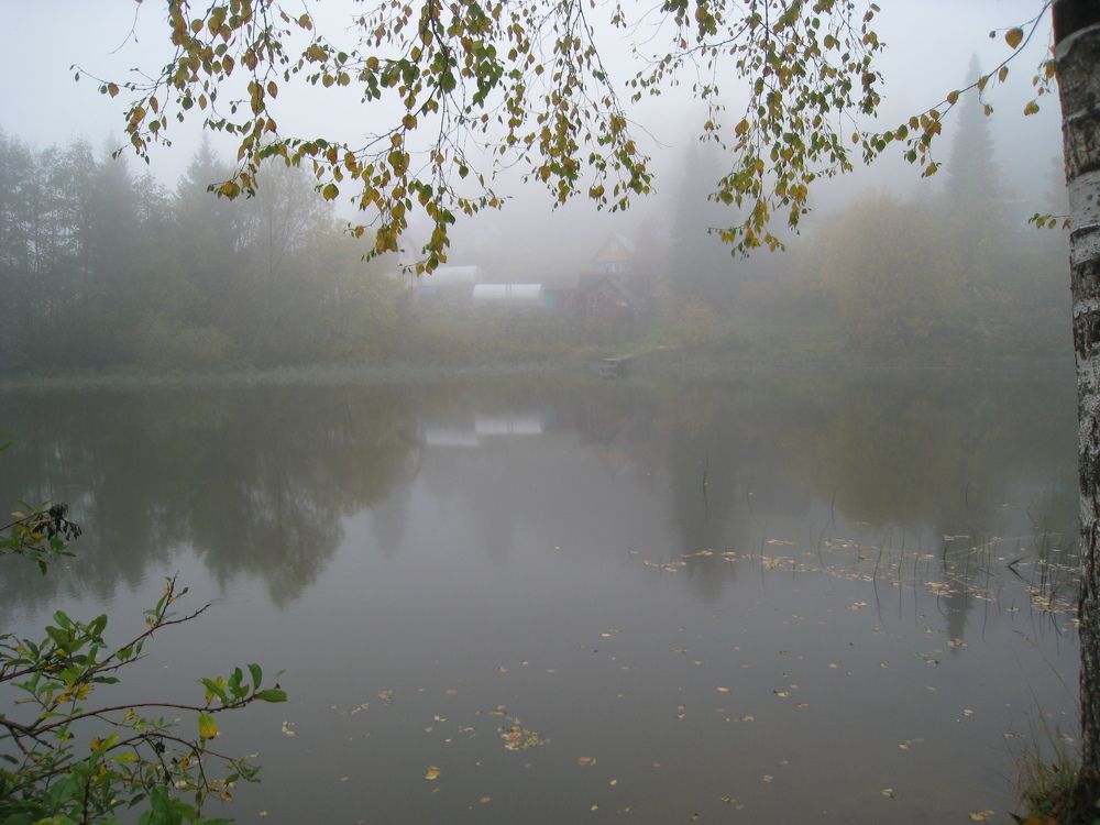 Photograph by Михаил Чепкасов