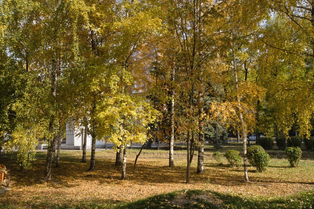 Photograph by Башлаев Константин