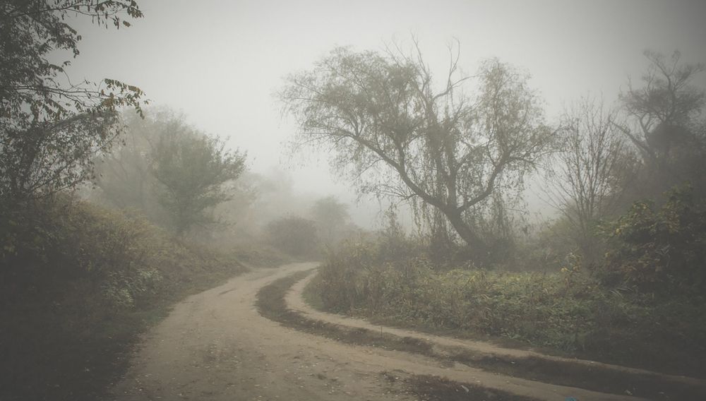 Photograph by Анна