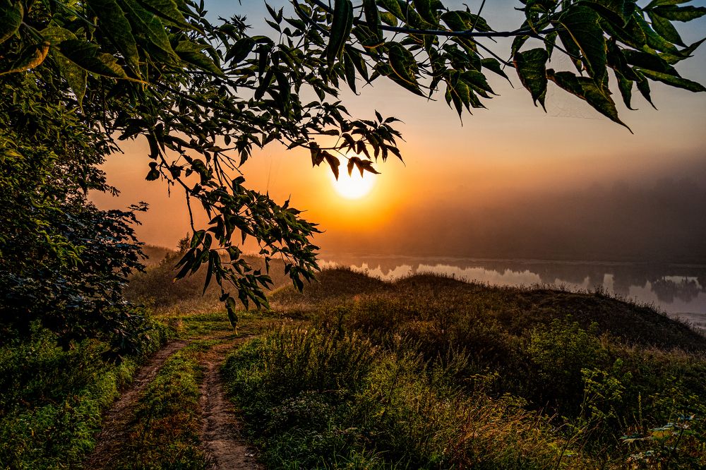 Рассвет у реки.