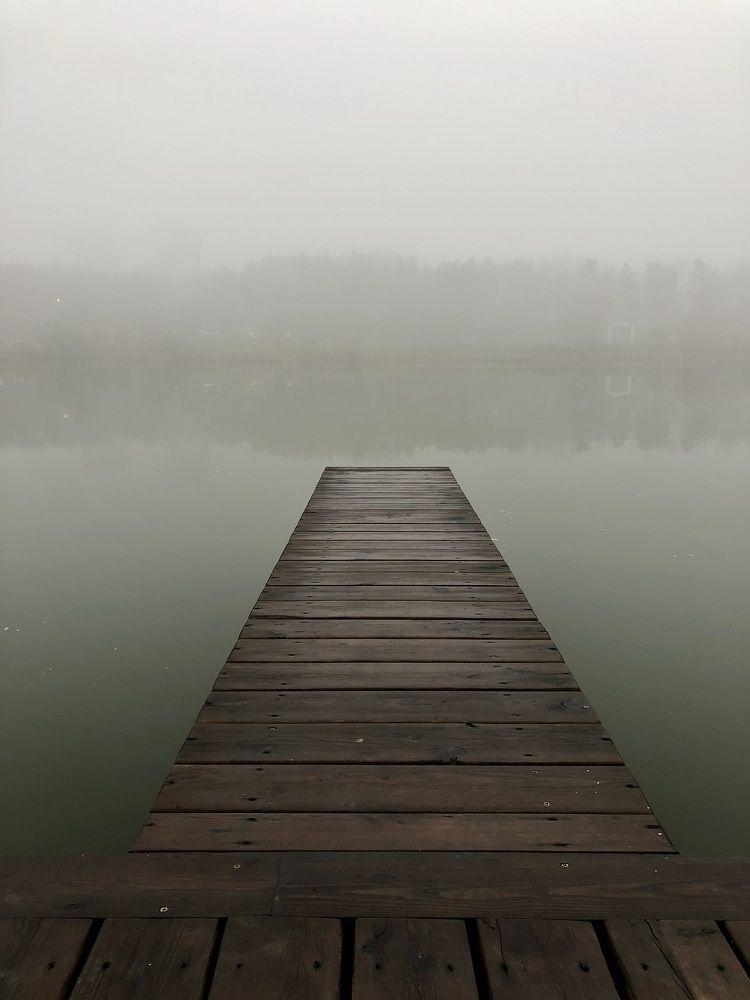 Photograph by Алла Давыдова