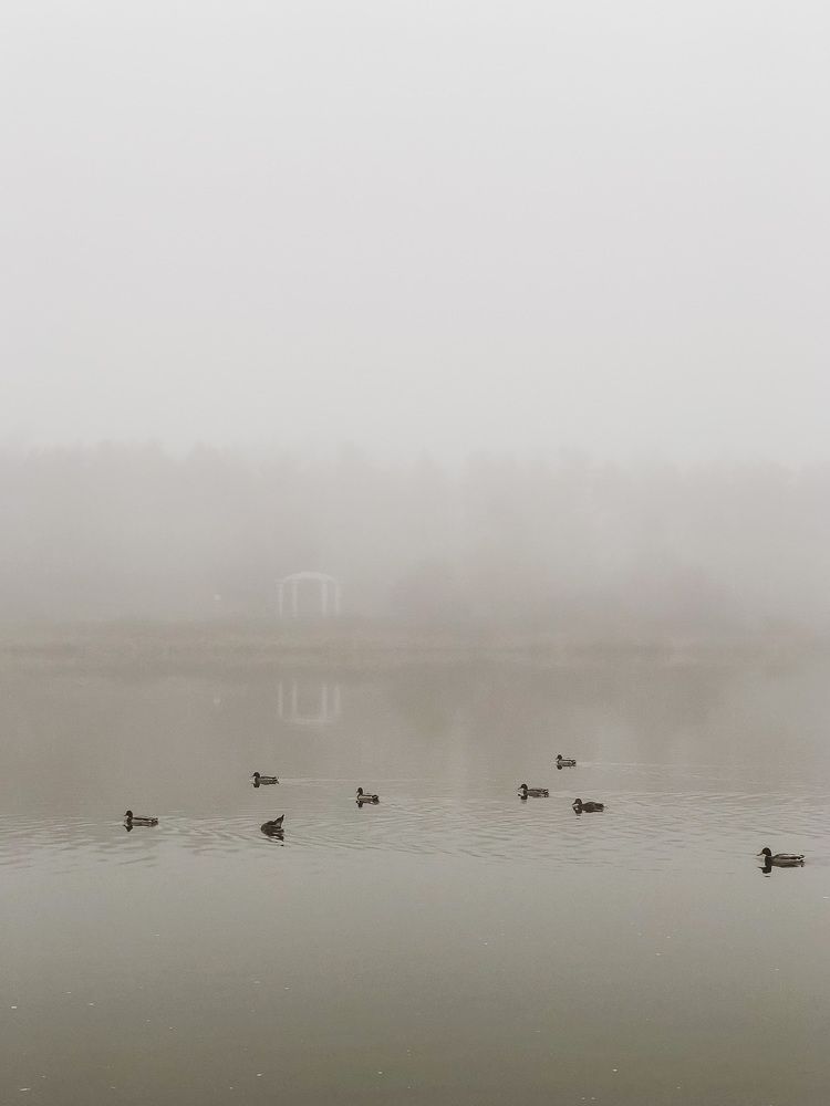 Photograph by Алла Давыдова