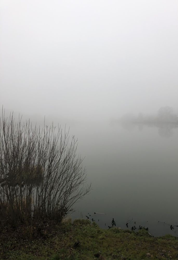 Photograph by Алла Давыдова