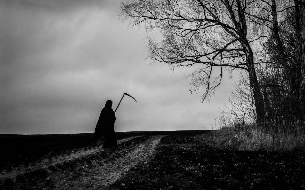 Photograph by Виктор Черкасов