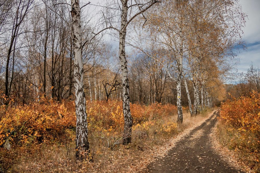 Photograph by Анна Вязникова