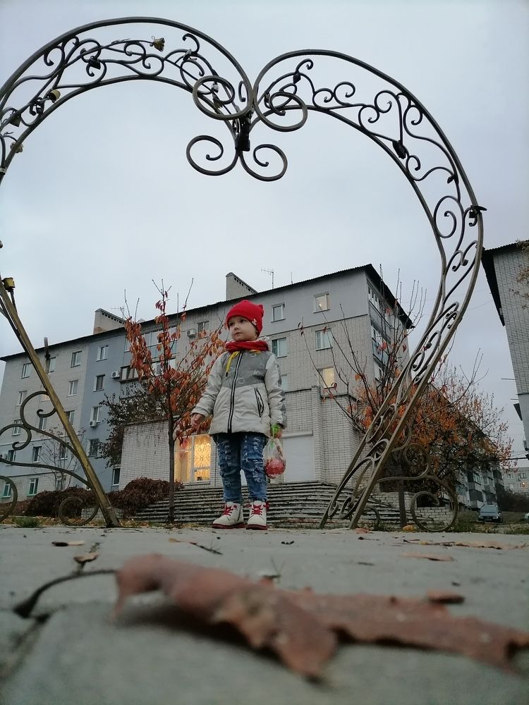 Photo #6691284
